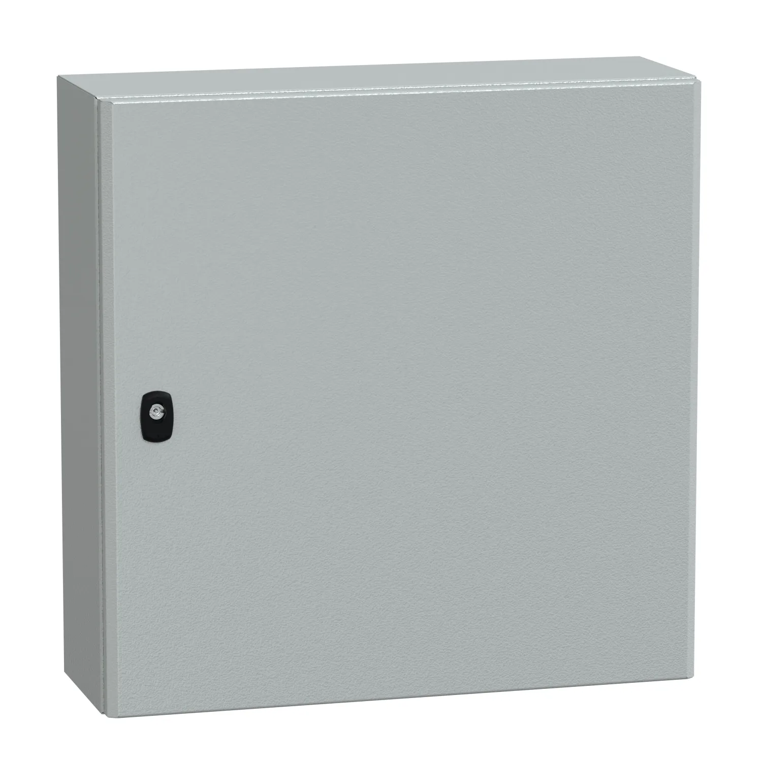 Contenitore a parete con portello Piatta Schneider Electric in Acciaio 600 x 600 x 200mm, col. Grigio, IP66
