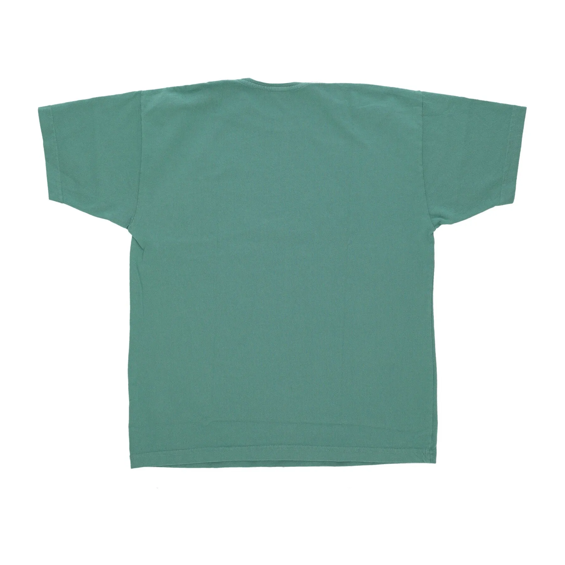 Maglietta Uomo The World Is Yours Heavyweight Tee Palm Leaf