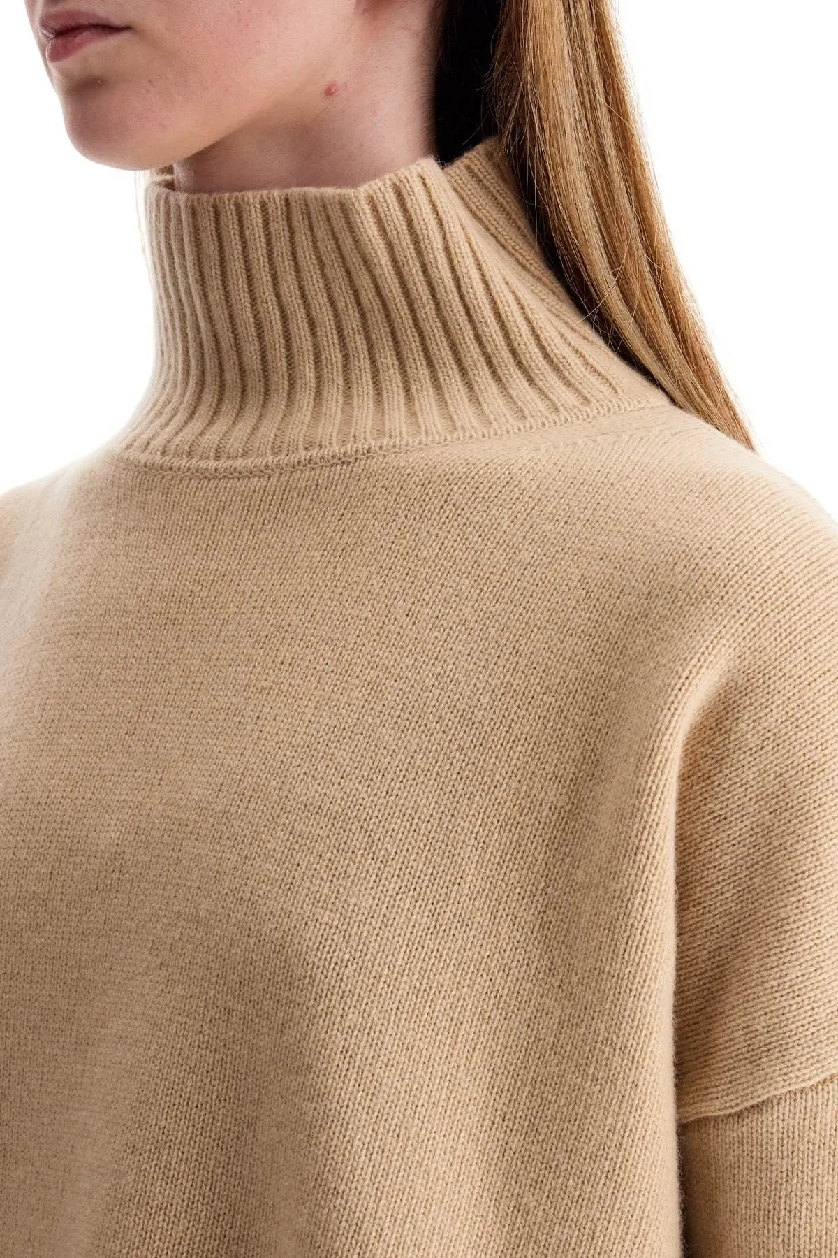 Pullover a collo alto Borgia