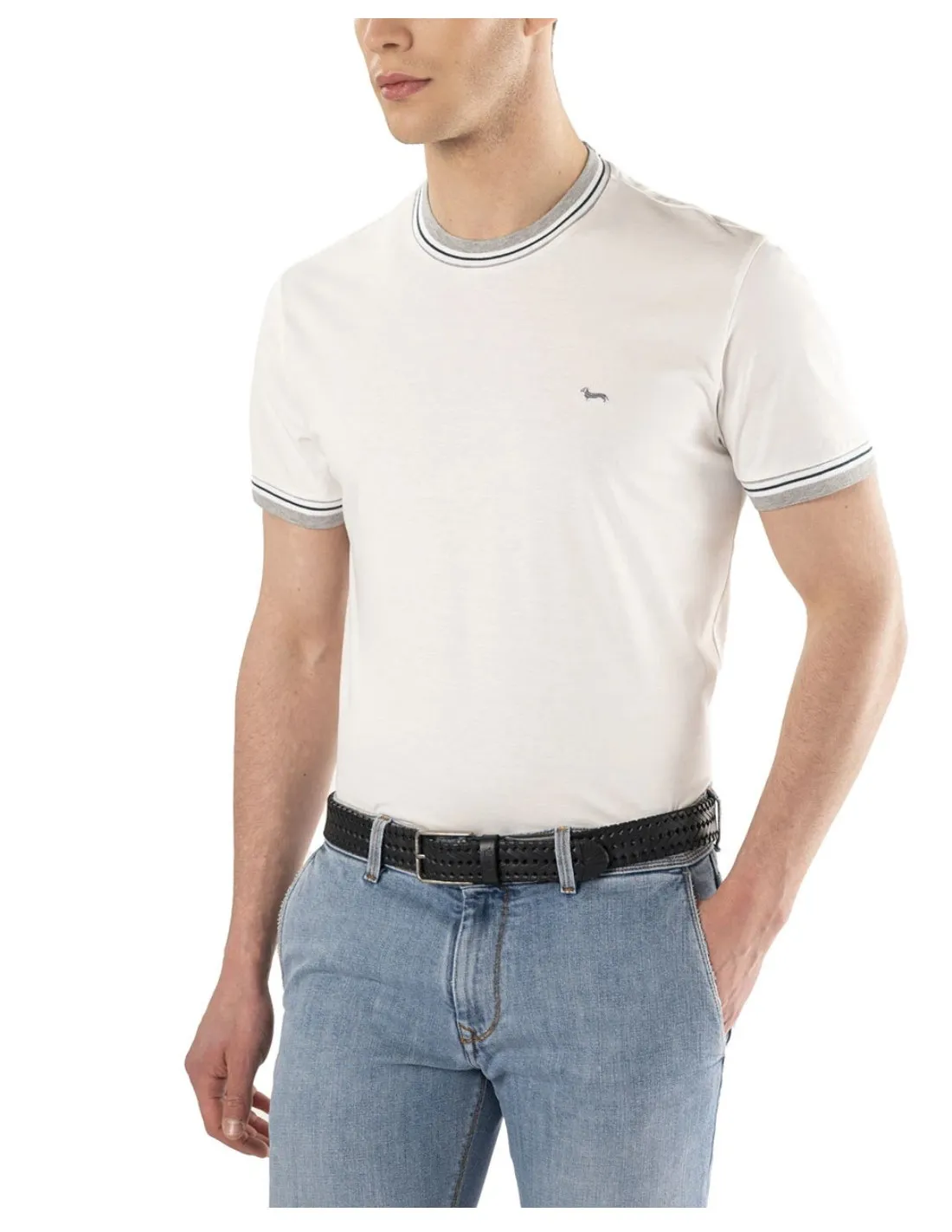 T-shirt Uomo Harmont E Blain