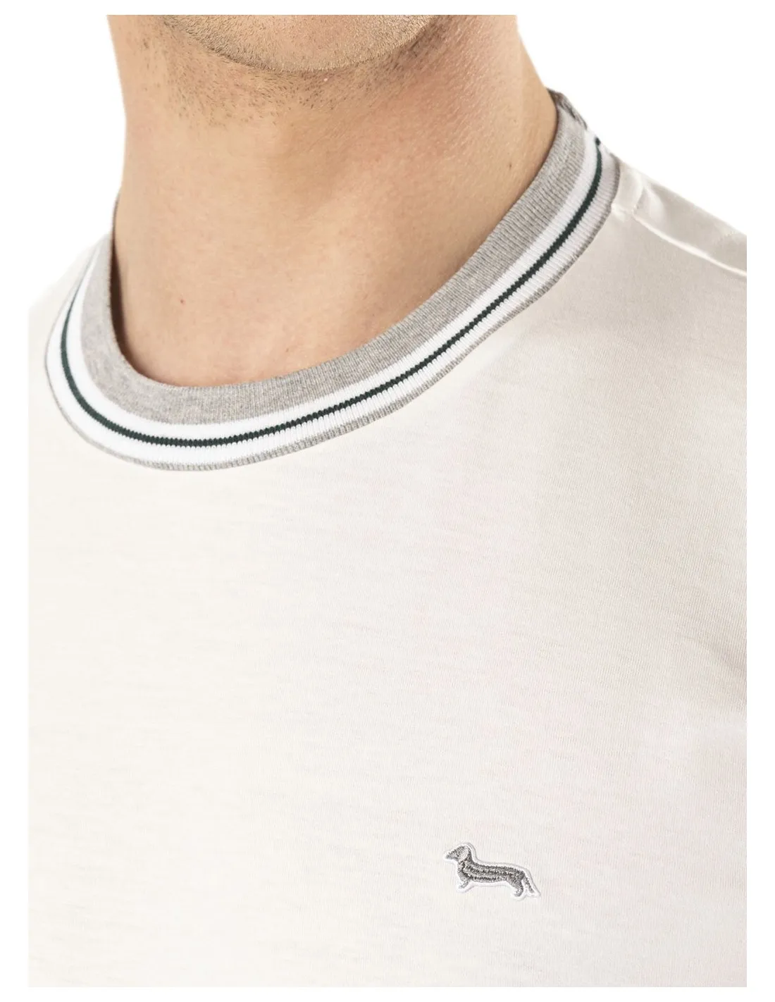 T-shirt Uomo Harmont E Blain
